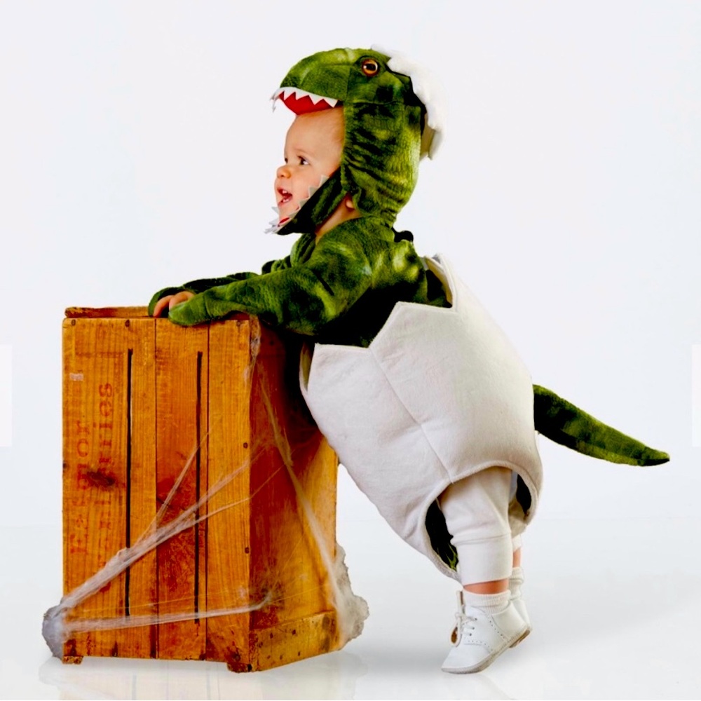 Pottery Barn Kids Baby T-Rex Egg Halloween Costume